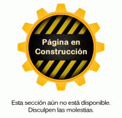 Pagina-en-construccion